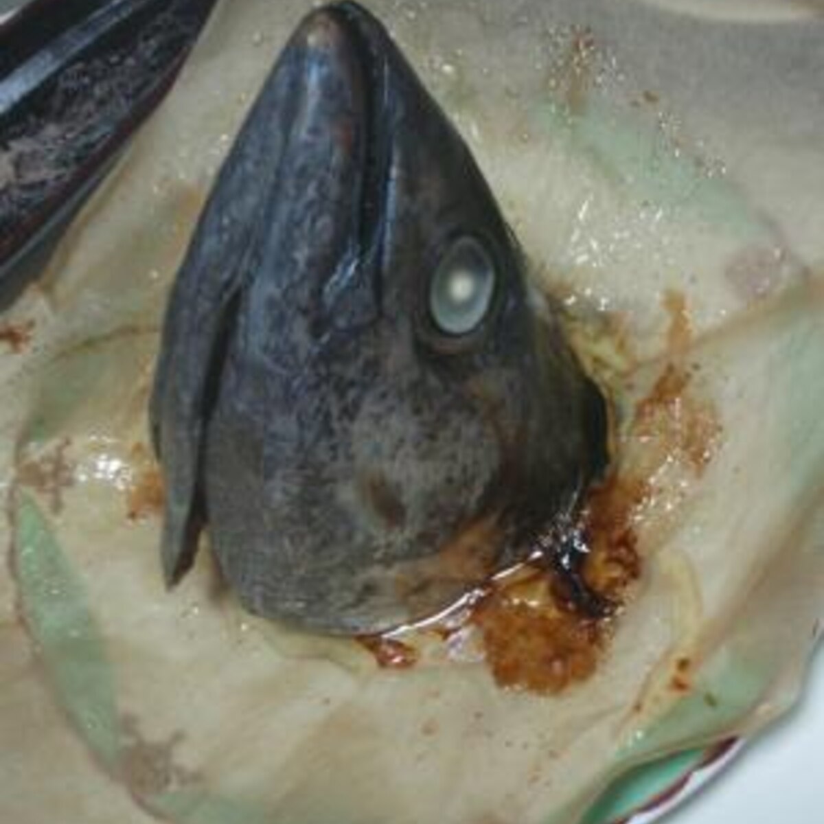 マグロのかぶと焼き 釣ったら食べまshow レシピ 作り方 By おかっちとちはる 楽天レシピ マグロのかぶと焼き 釣ったら食べまshow レシピ 作り方 By おかっちとちはる 楽天レシピ